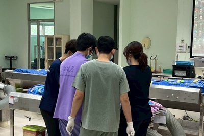 กลุ่มงานออร์โธปิดิกส์